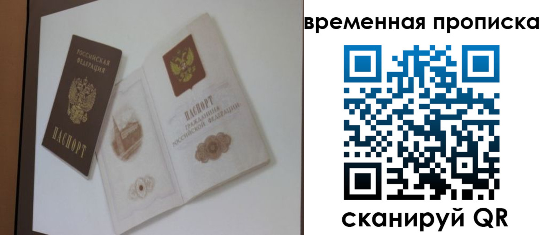 прописка 2025 в Курганинске